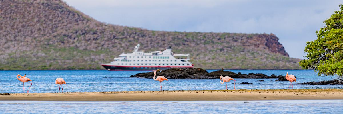 Économisez jusqu'à 3 500 $US sur les croisières HX Expedition 2024-2026 tout compris.